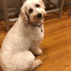 Meet your Posher, Stefanie